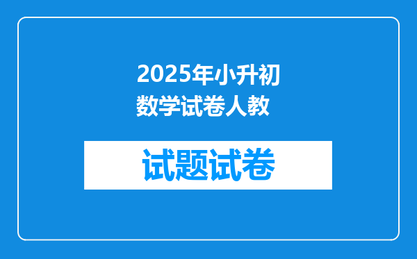 2025年小升初数学试卷人教