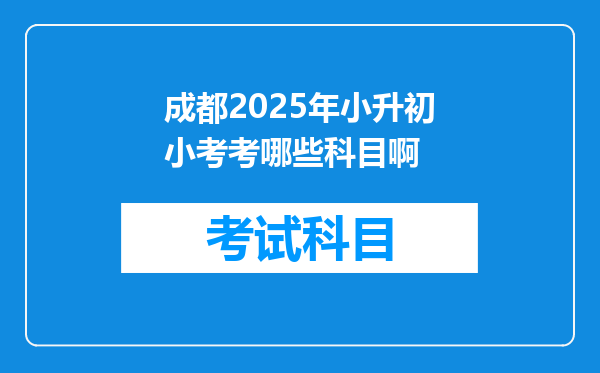 成都2025年小升初小考考哪些科目啊