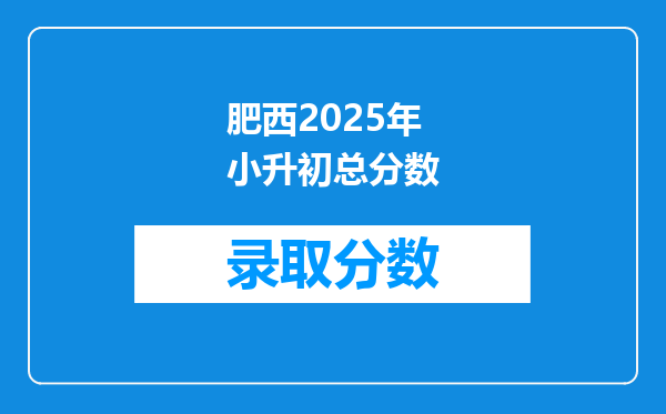 肥西2025年小升初总分数