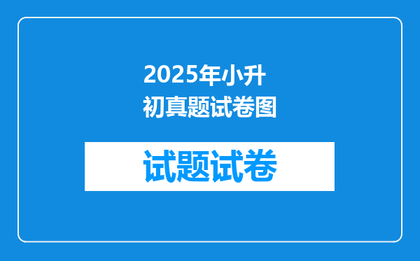 2025年小升初真题试卷图