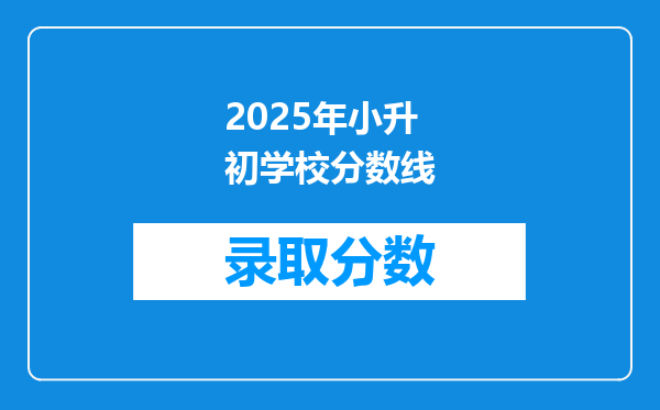 2025年小升初学校分数线