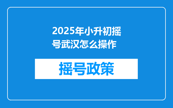 2025年小升初摇号武汉怎么操作