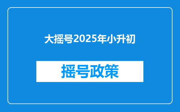 大摇号2025年小升初