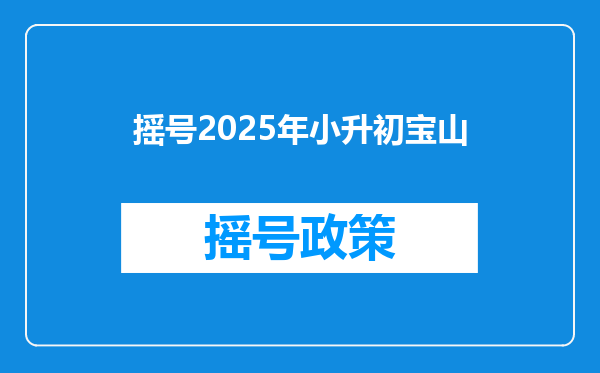 摇号2025年小升初宝山