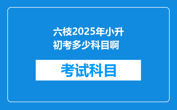 六枝2025年小升初考多少科目啊