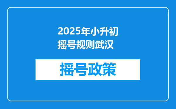 2025年小升初摇号规则武汉