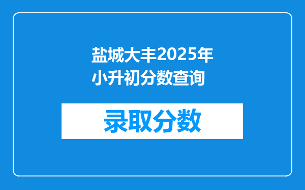 盐城大丰2025年小升初分数查询