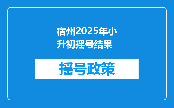 宿州2025年小升初摇号结果