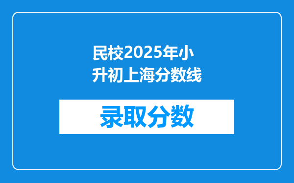 民校2025年小升初上海分数线