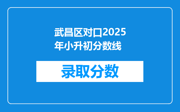 武昌区对口2025年小升初分数线