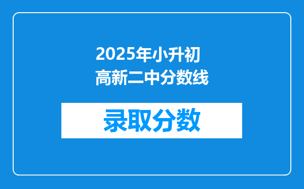 2025年小升初高新二中分数线