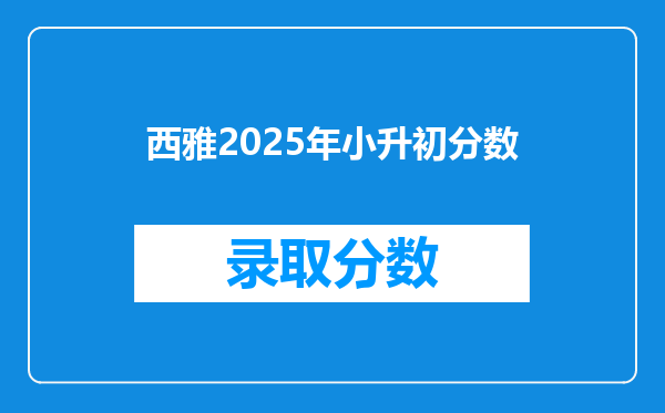 西雅2025年小升初分数