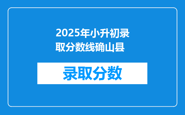 2025年小升初录取分数线确山县