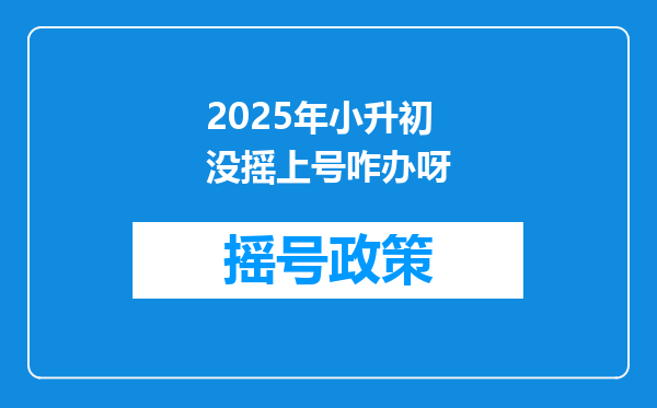 2025年小升初没摇上号咋办呀