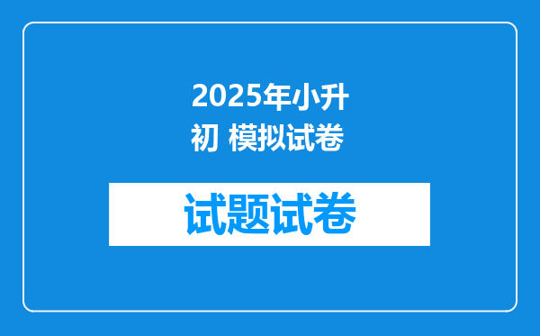 2025年小升初 模拟试卷