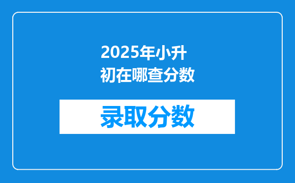 2025年小升初在哪查分数