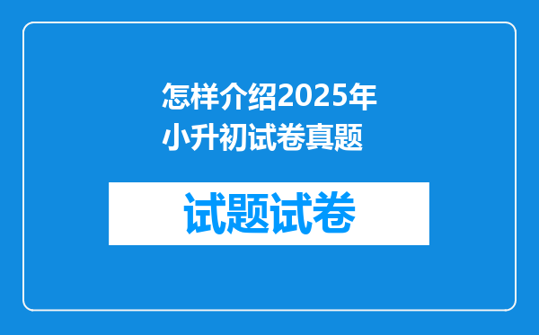 怎样介绍2025年小升初试卷真题