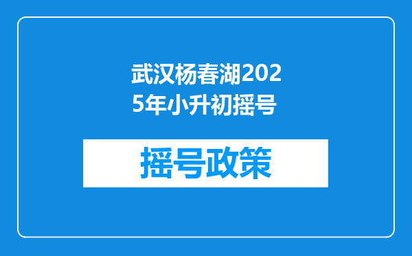 武汉杨春湖2025年小升初摇号