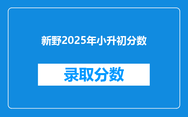 新野2025年小升初分数