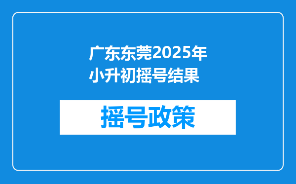 广东东莞2025年小升初摇号结果