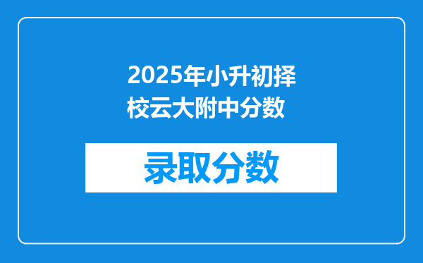 2025年小升初择校云大附中分数