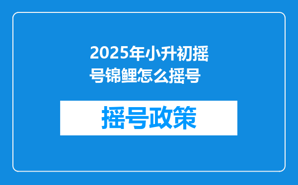 2025年小升初摇号锦鲤怎么摇号