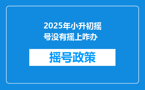 2025年小升初摇号没有摇上咋办