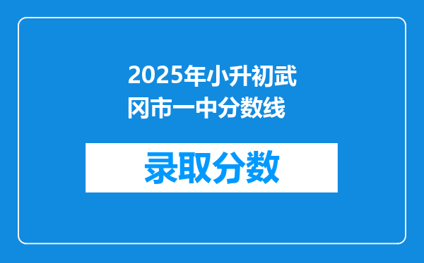 2025年小升初武冈市一中分数线