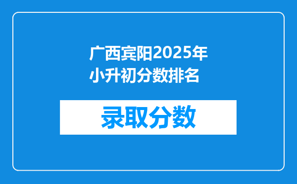 广西宾阳2025年小升初分数排名