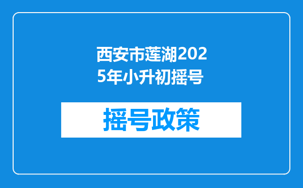 西安市莲湖2025年小升初摇号