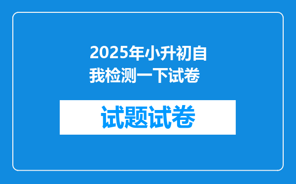 2025年小升初自我检测一下试卷