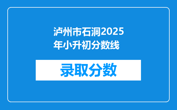 泸州市石洞2025年小升初分数线