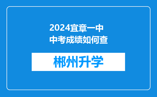 2024宜章一中中考成绩如何查