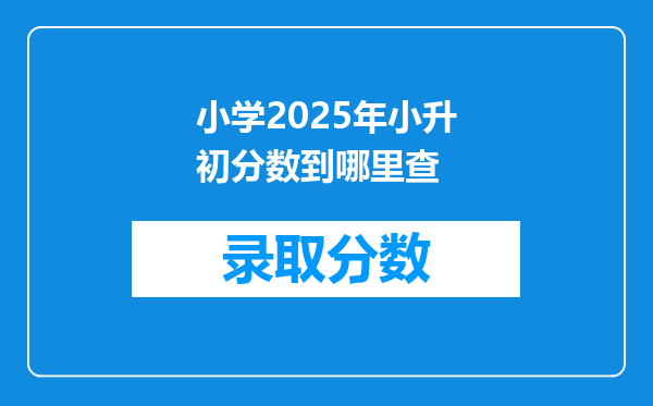 小学2025年小升初分数到哪里查