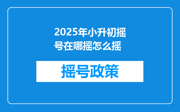 2025年小升初摇号在哪摇怎么摇