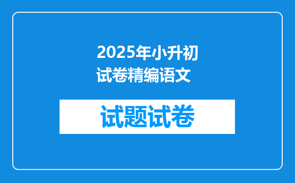 2025年小升初试卷精编语文