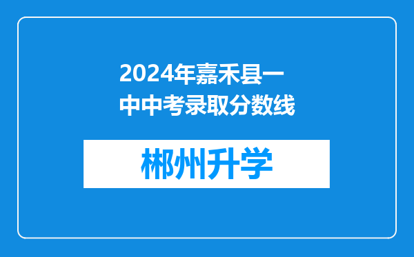 2024年嘉禾县一中中考录取分数线