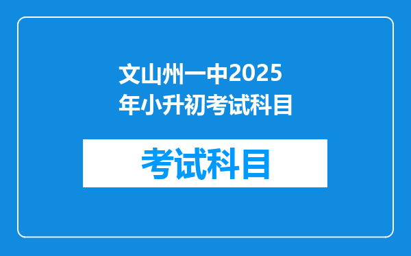 文山州一中2025年小升初考试科目