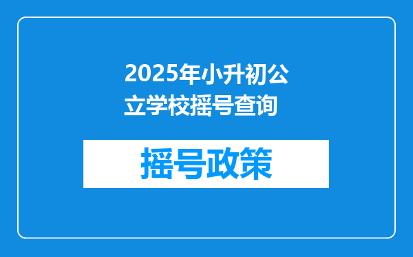 2025年小升初公立学校摇号查询