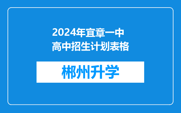 2024年宜章一中高中招生计划表格