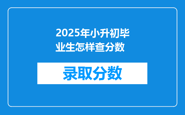 2025年小升初毕业生怎样查分数