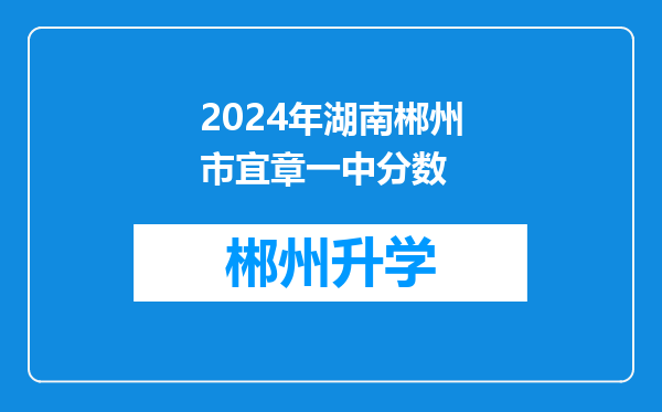 2024年湖南郴州市宜章一中分数