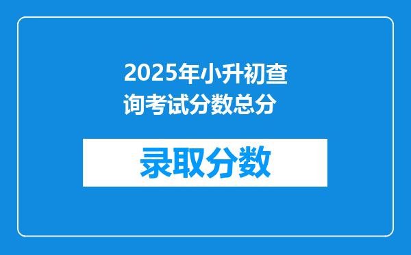 2025年小升初查询考试分数总分