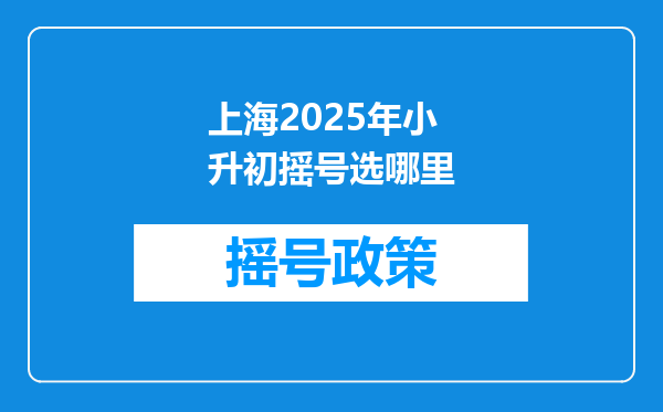 上海2025年小升初摇号选哪里