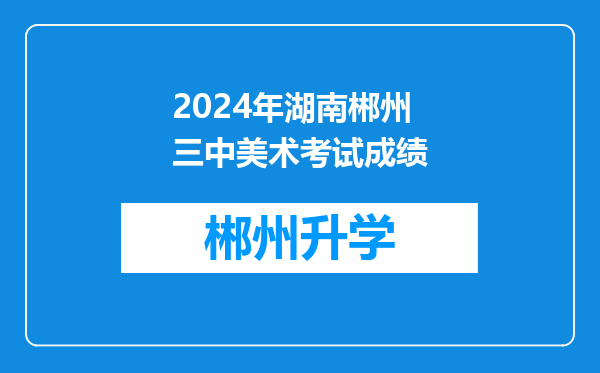 2024年湖南郴州三中美术考试成绩