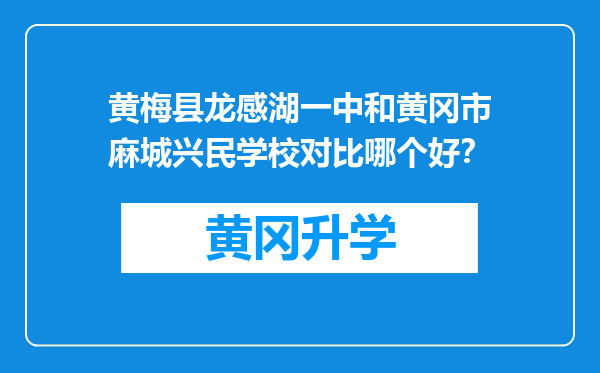 黄梅县龙感湖一中和黄冈市麻城兴民学校对比哪个好？