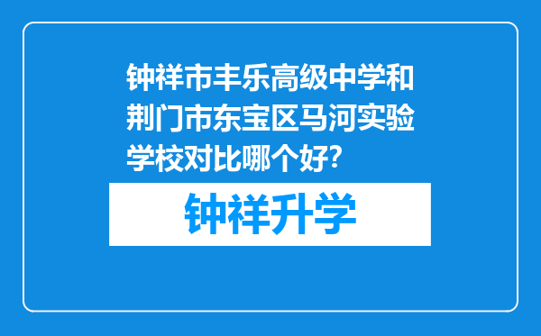 钟祥市丰乐高级中学和荆门市东宝区马河实验学校对比哪个好？