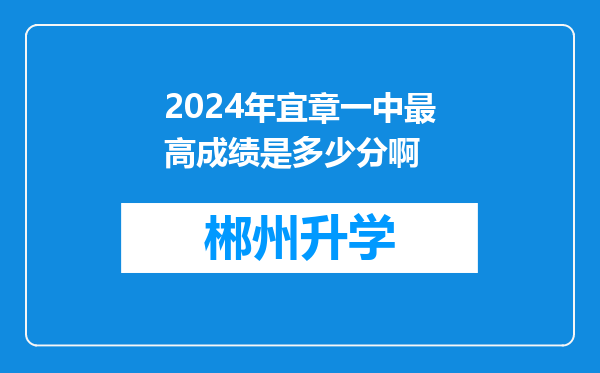 2024年宜章一中最高成绩是多少分啊