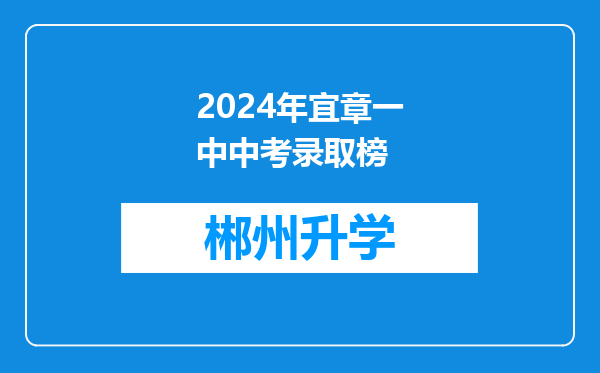 2024年宜章一中中考录取榜