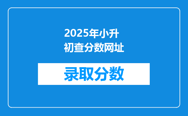 2025年小升初查分数网址